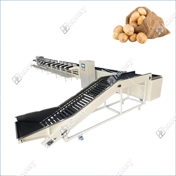 automatic potato grading machine