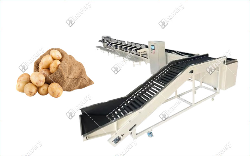 automatic potato grading machine