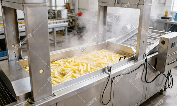 Blog french fries production turkey details