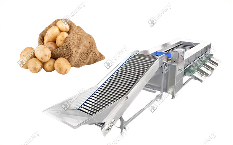 potato grading machine