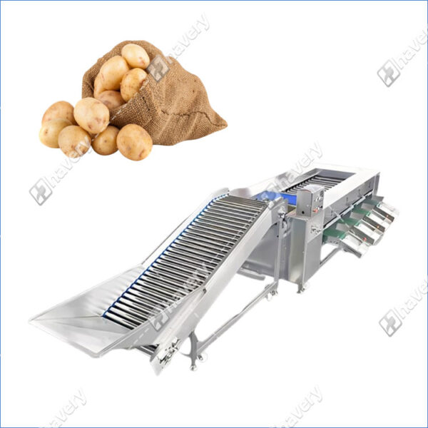Roller Type Potato Grading Machine for Precise Sorting - Potato ...