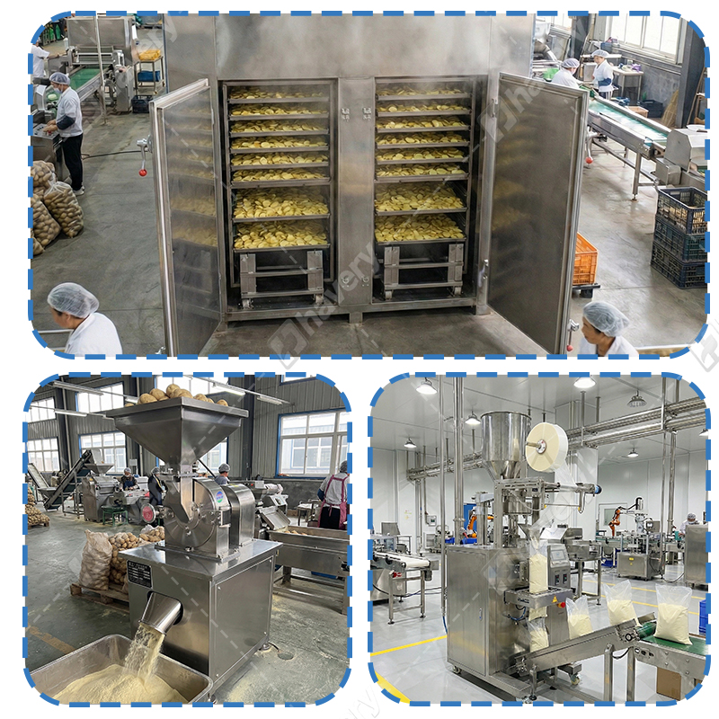 potato powder production details
