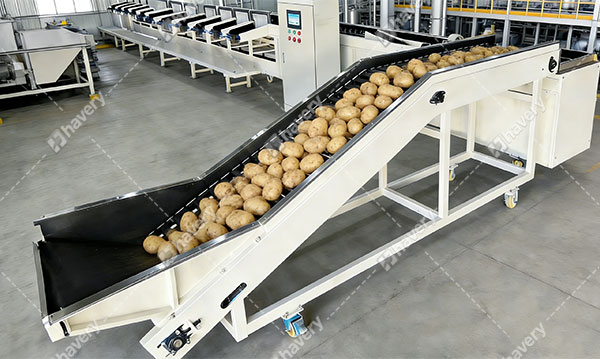 Blog potato sorting machine details