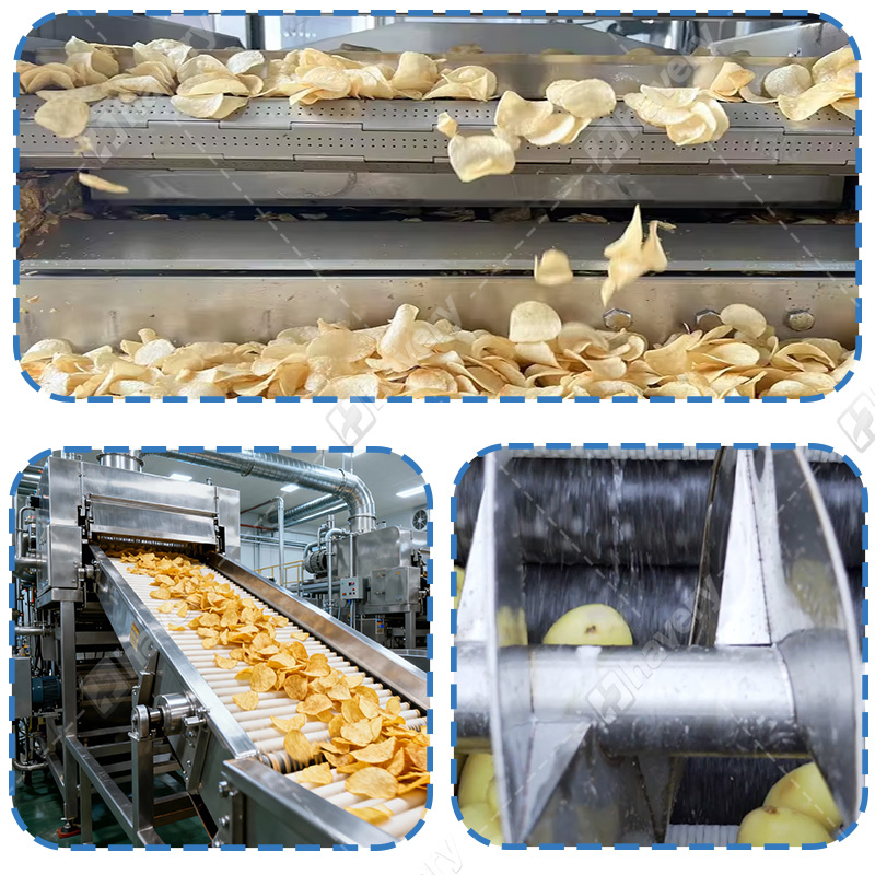 vacuum frying line details