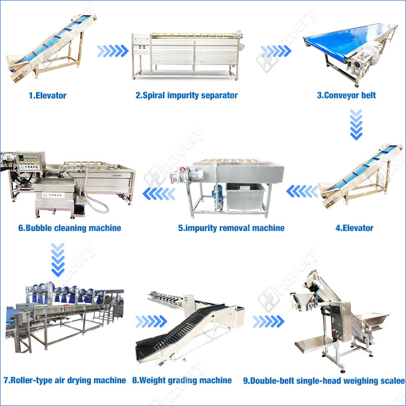 potato washing grading and packing machine