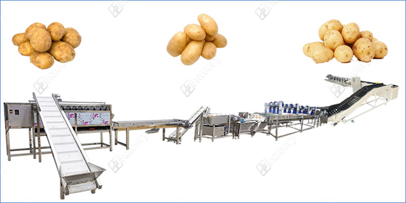 potato washing grading line)