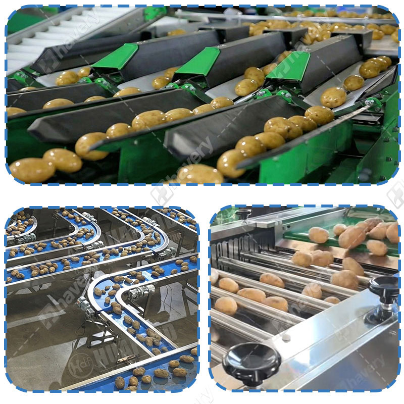 potato washing grading machine details