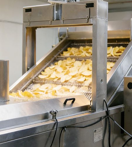 potato chips fryer